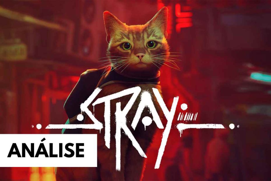 Review de Stray